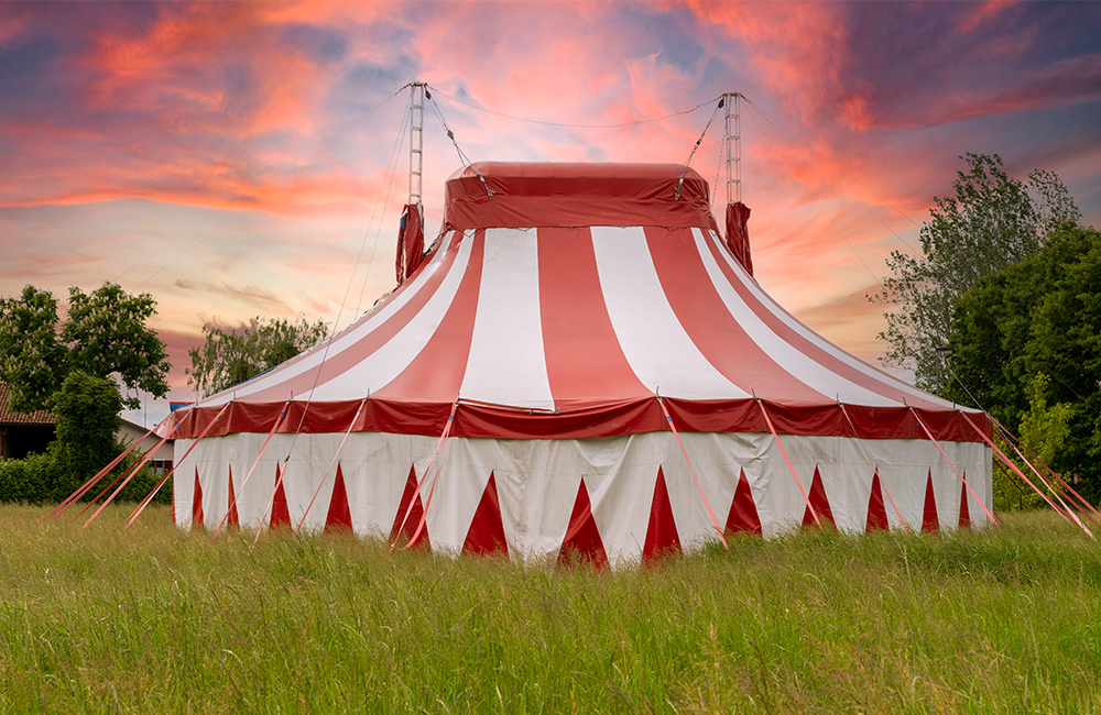 Summer Circus announced!